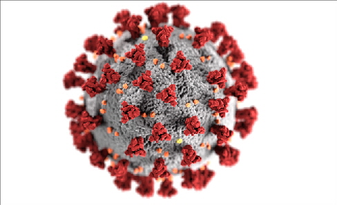 coronavirus-alternativbild-RKI